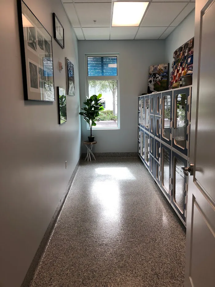 Harborside Animal Clinic 1