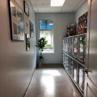 Harborside Animal Clinic ico