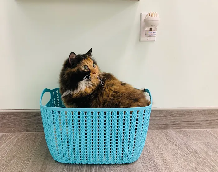 Harborside Animal Clinic 7