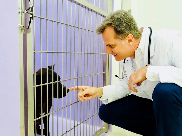 The Animalife Veterinary Center at Eagle Creek 9