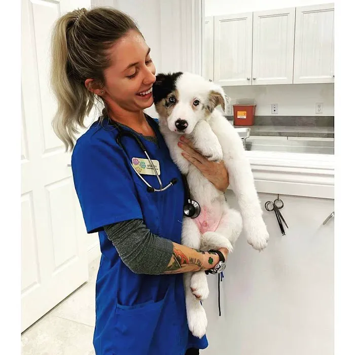 The Animalife Veterinary Center at Eagle Creek 2
