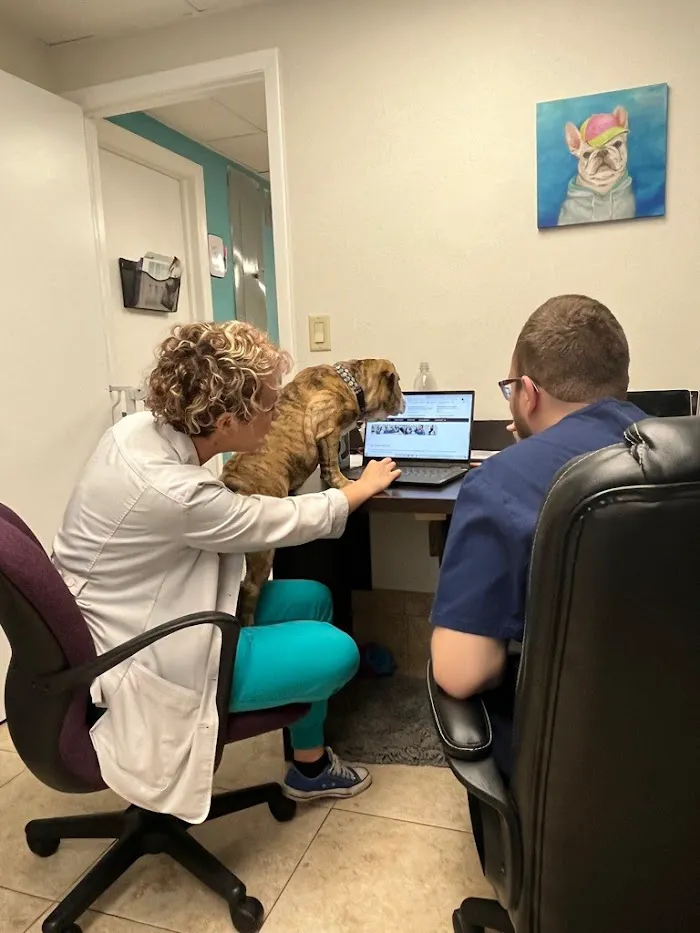 Grace Veterinary Center 12