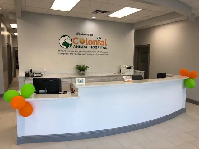 Colonial Animal Hospital 12
