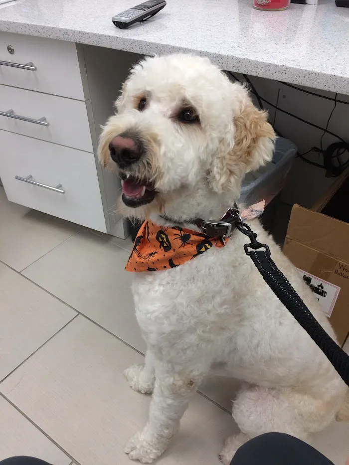 Colonial Animal Hospital 12