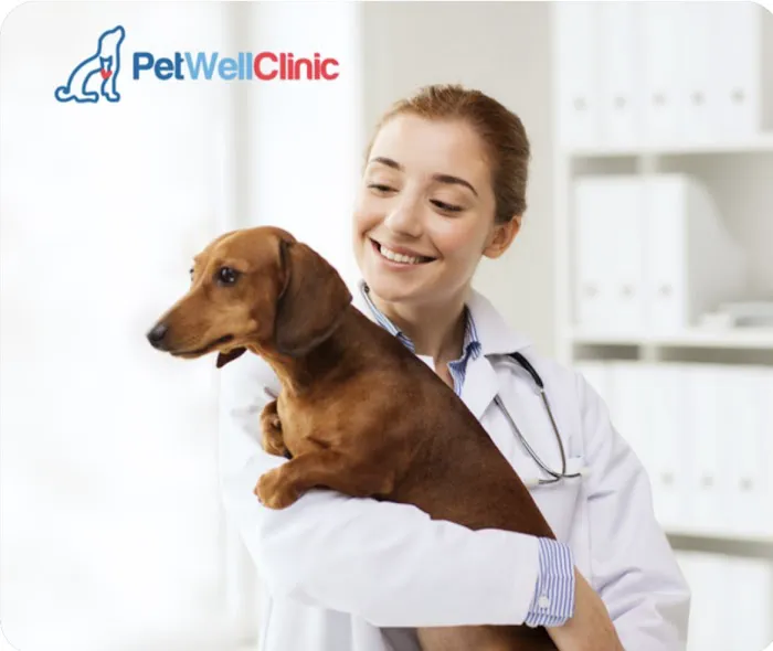 PetWellClinic - Fort Myers 12