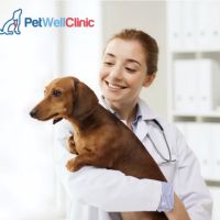PetWellClinic - Fort Myers ico
