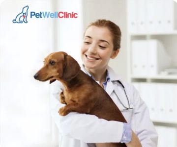 PetWellClinic - Fort Myers