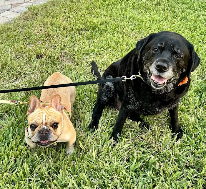 Best Friends Animal Hospital 12