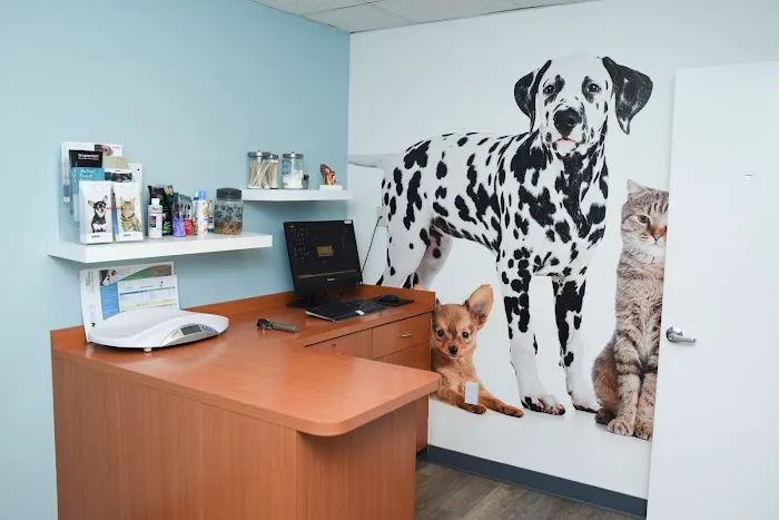 Best Friends Animal Hospital 12