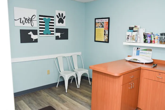 Best Friends Animal Hospital 12