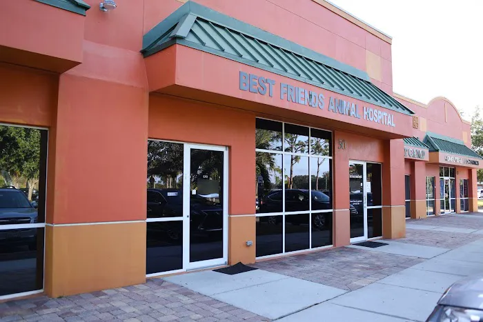 Best Friends Animal Hospital 12
