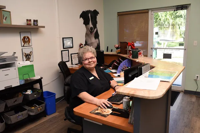 Best Friends Animal Hospital 12