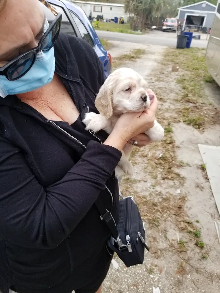 Just 4 Pets Wellness Center 5