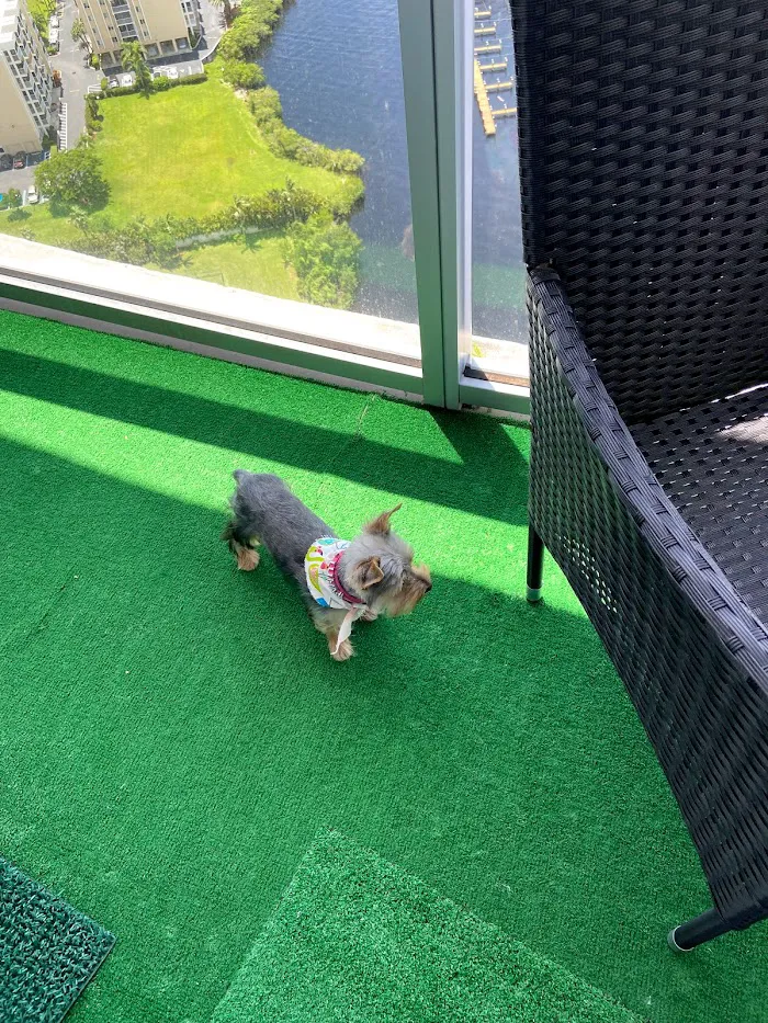 Banfield Pet Hospital 12