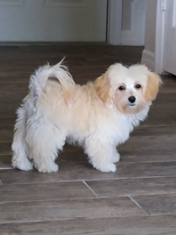 Banfield Pet Hospital 12