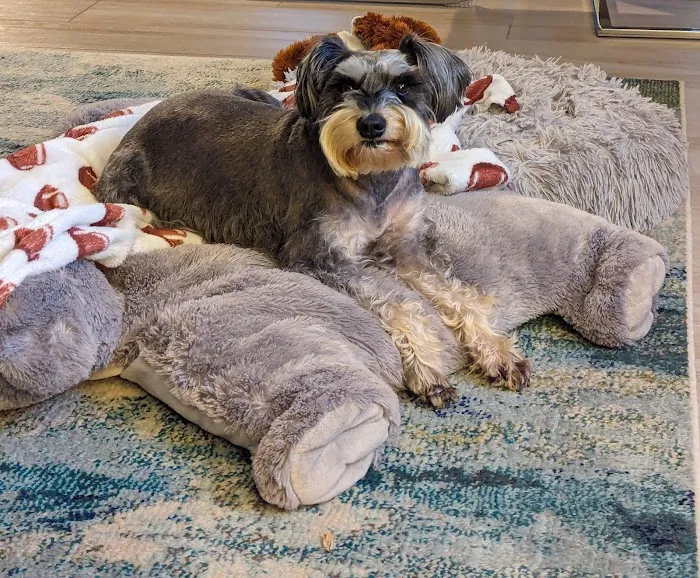 Mc Gregor Boulevard Veterinary: Jones Lura DVM 12