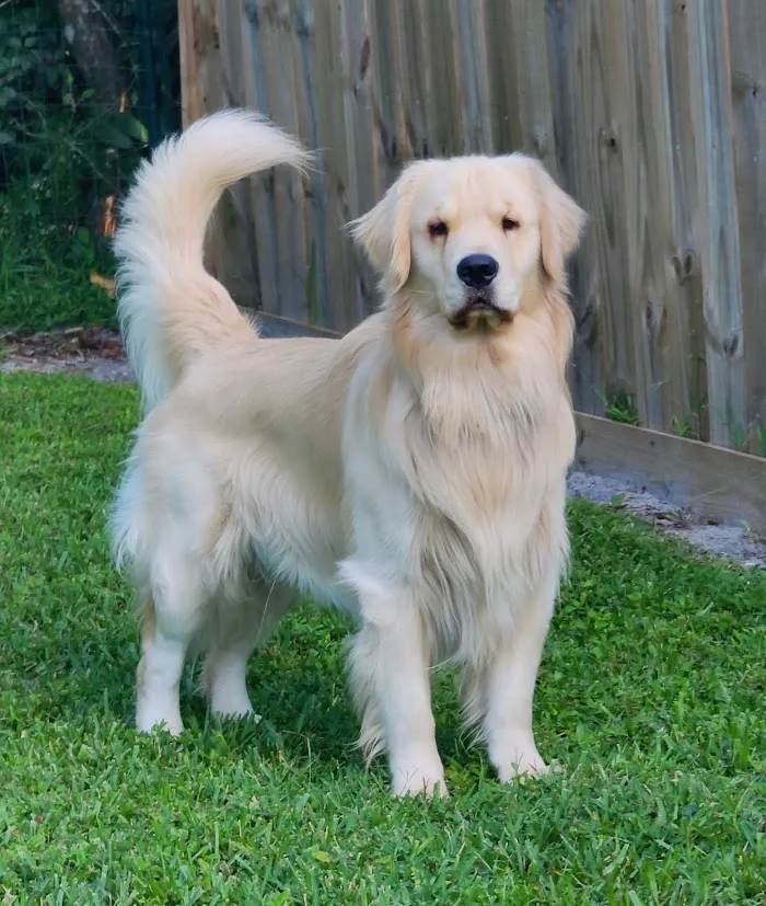 Mc Gregor Boulevard Veterinary: Jones Lura DVM 12