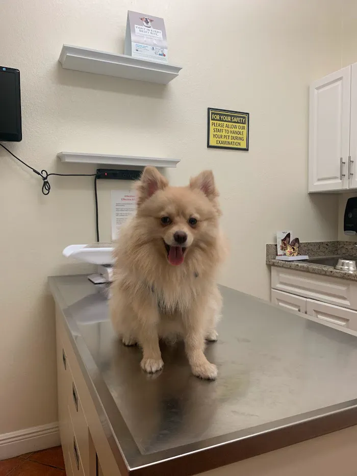 PetCoral Veterinary Hospital and Resort 12