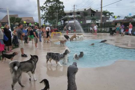 PetCoral Veterinary Hospital and Resort