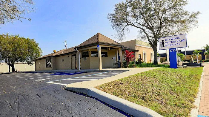 VCA Baywood Animal Hospital & Pet Resort 12