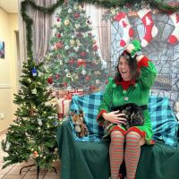 VCA Baywood Animal Hospital & Pet Resort ico