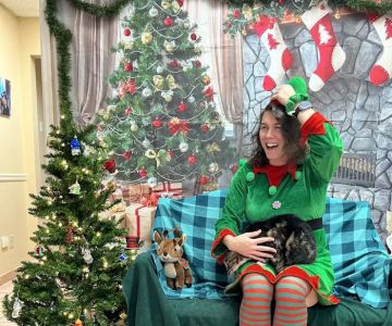 VCA Baywood Animal Hospital & Pet Resort