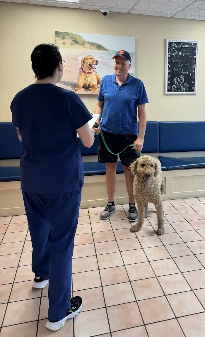 VCA Baywood Animal Hospital & Pet Resort 12