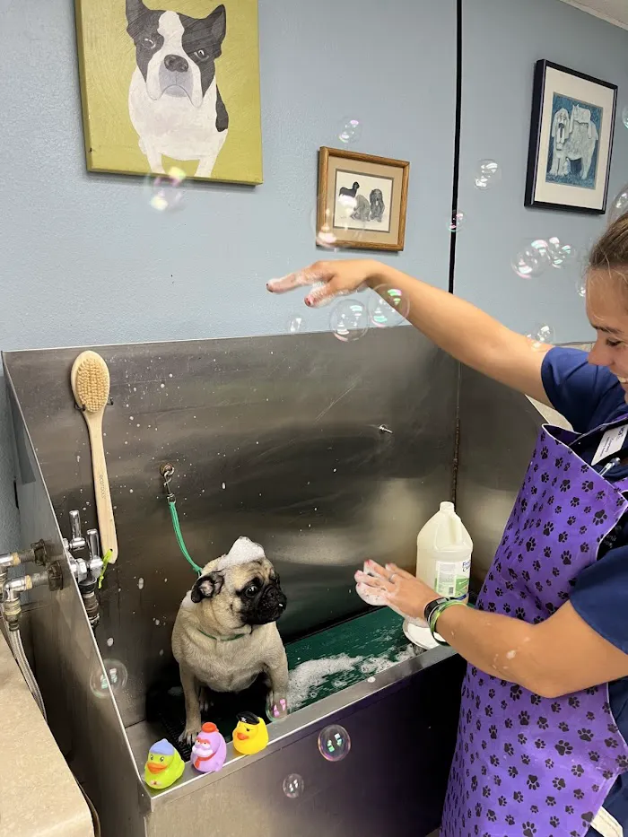 VCA Baywood Animal Hospital & Pet Resort 12