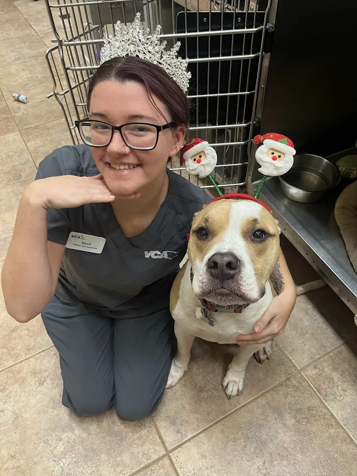 VCA Miracle Mile Animal Hospital 7