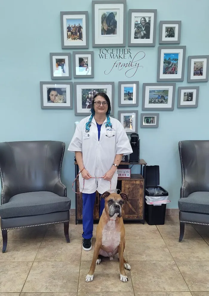 VCA Miracle Mile Animal Hospital 9