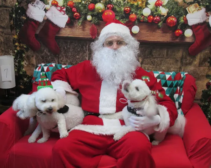 VCA Miracle Mile Animal Hospital 1