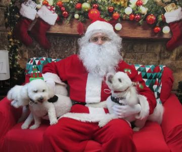 VCA Miracle Mile Animal Hospital