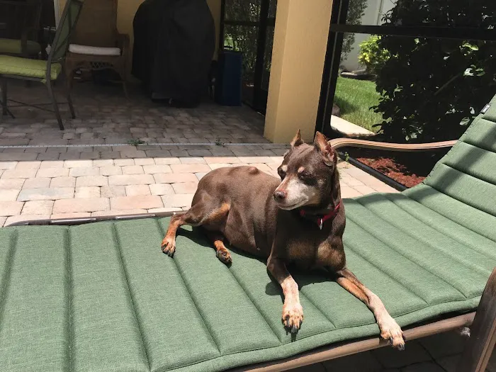 Animal Medical Center of Lehigh Acres 12