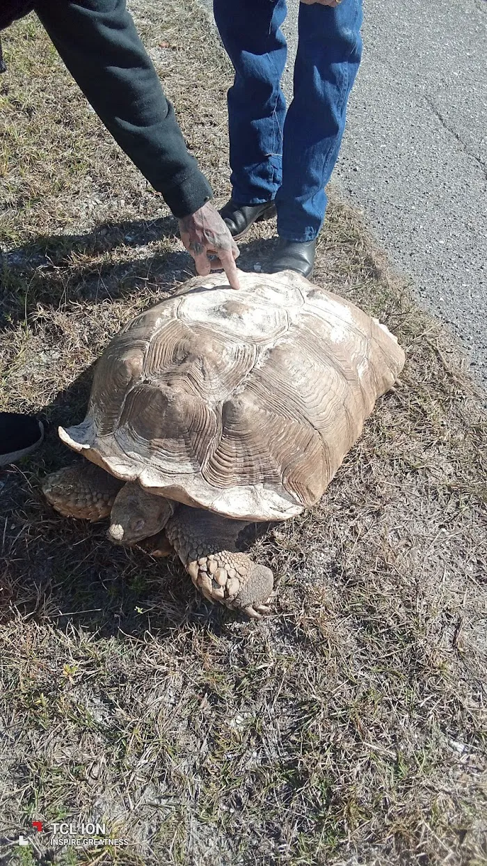 Animal Medical Center of Lehigh Acres 12