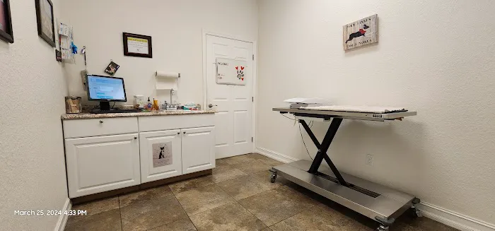 Companion Pet Care 12