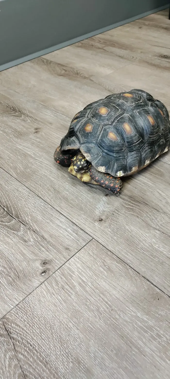 Medlin Exotic Animal Medical Services 12