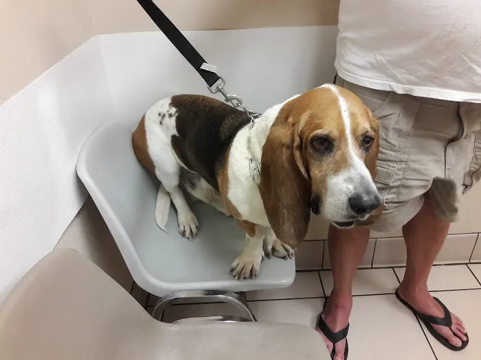 Viscaya Prado Veterinary Hospital 12