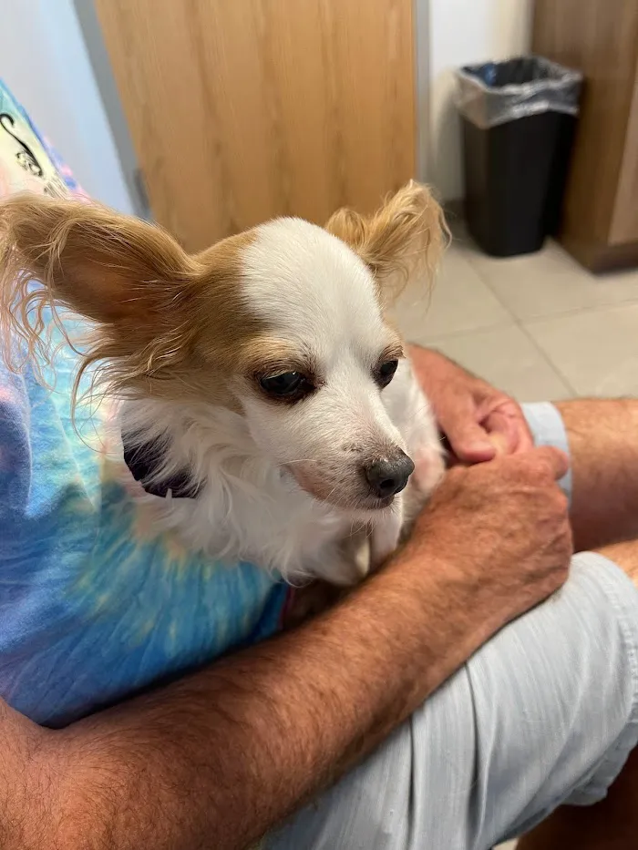 Viscaya Prado Veterinary Hospital 12