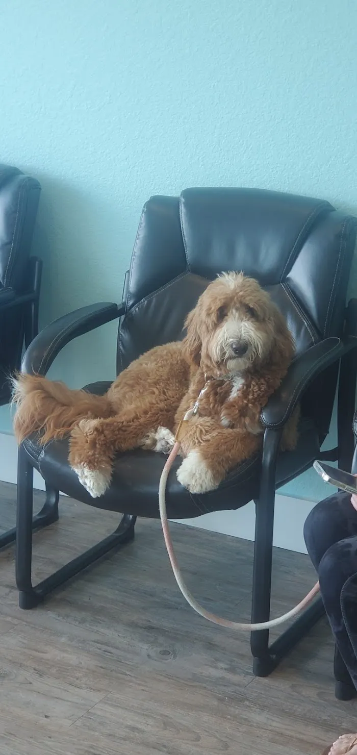 Treeline Animal Hospital 9