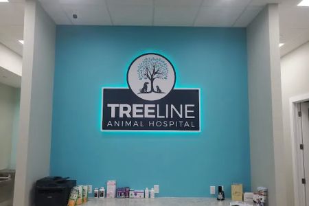 Treeline Animal Hospital