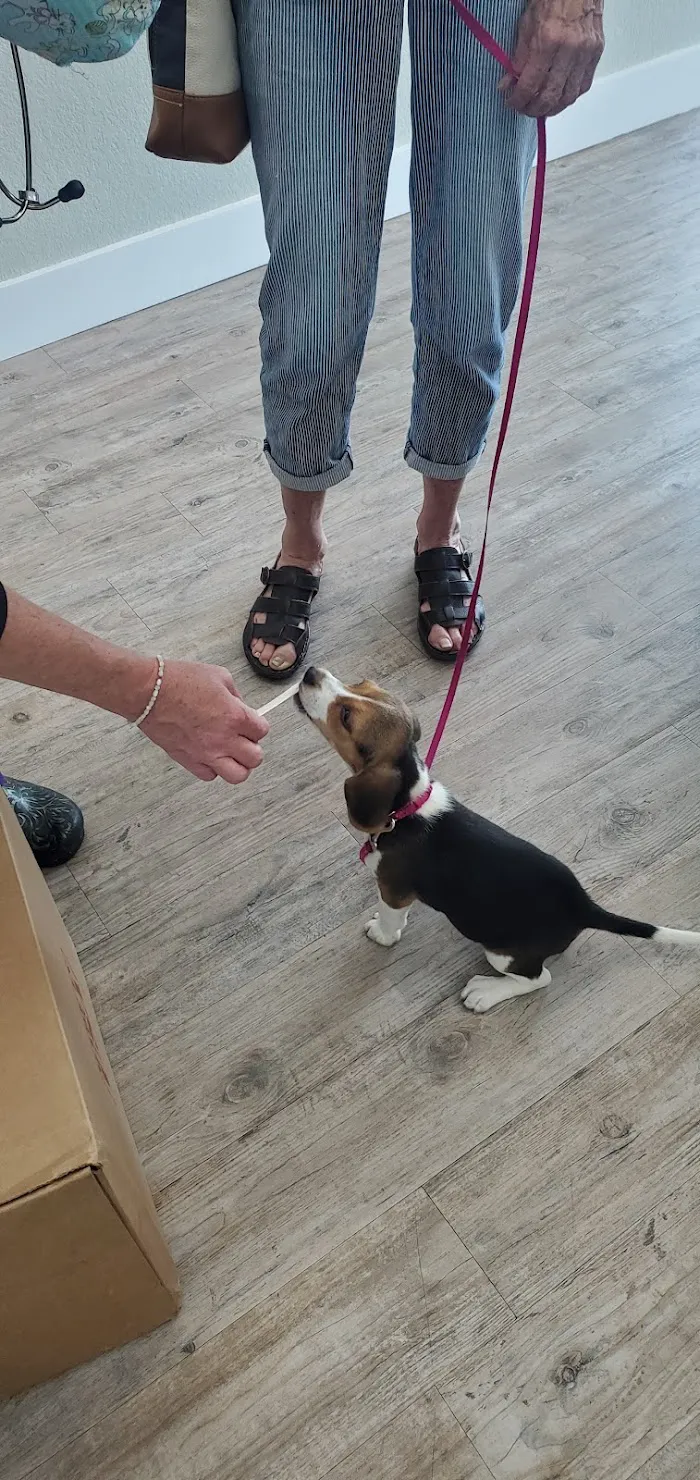 Treeline Animal Hospital 10