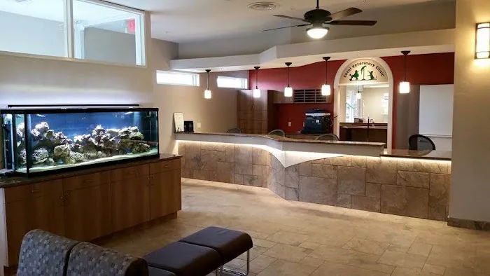 VCA Coral Animal Hospital 12