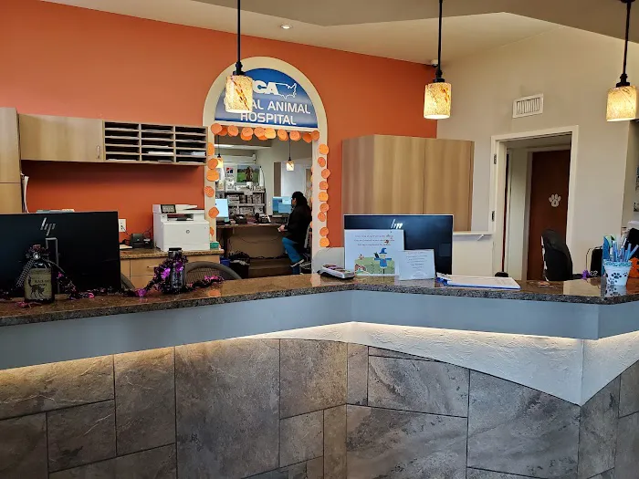 VCA Coral Animal Hospital 12