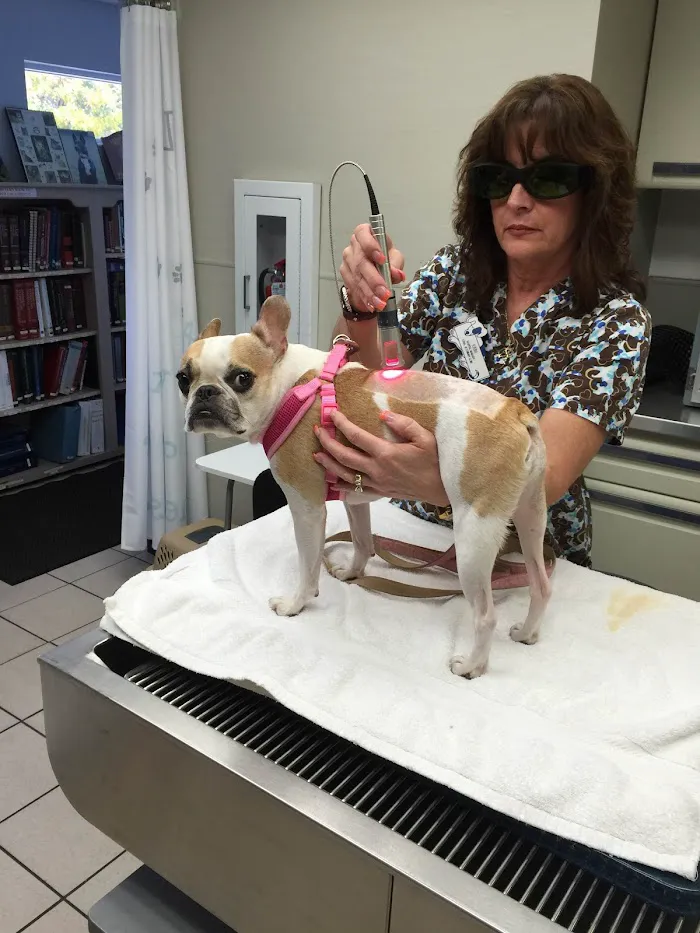 VCA Coral Animal Hospital 12