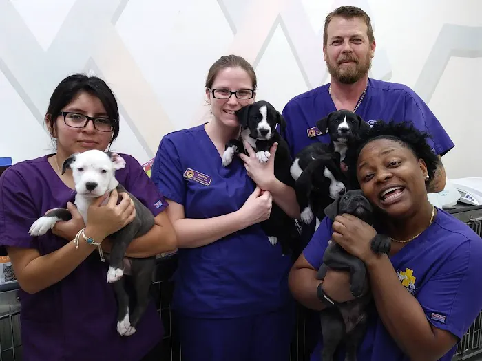 Gulf Coast Humane Society Veterinary Clinic 12