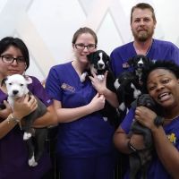 Gulf Coast Humane Society Veterinary Clinic ico