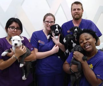 Gulf Coast Humane Society Veterinary Clinic