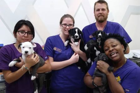 Gulf Coast Humane Society Veterinary Clinic