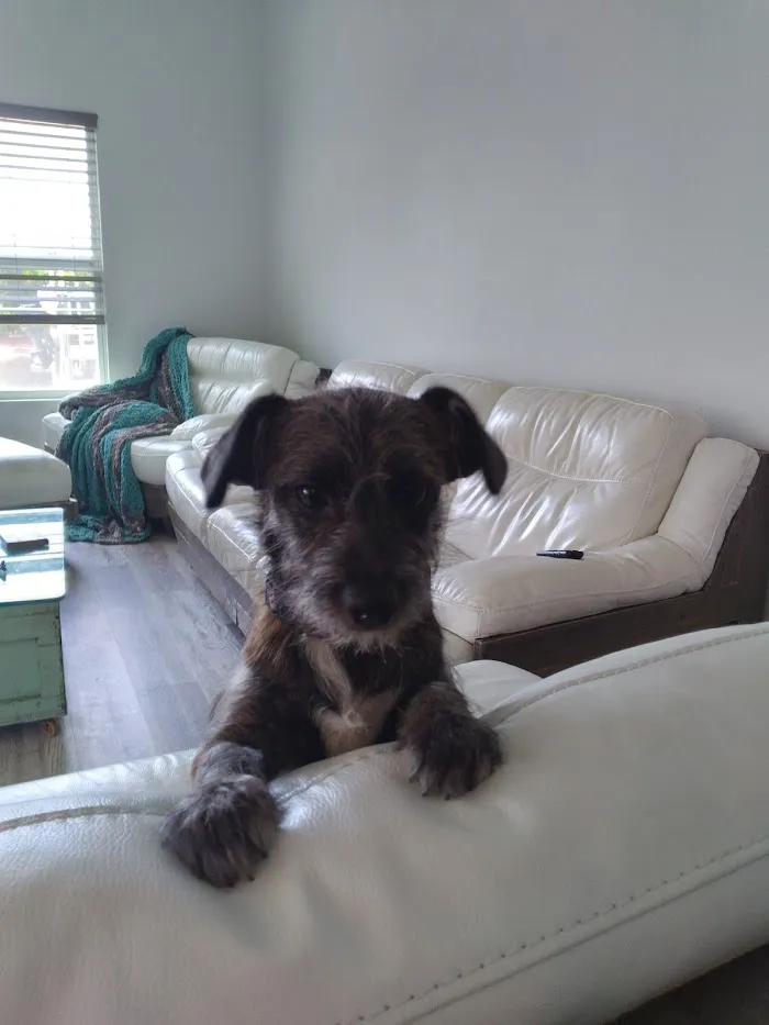 Cypress Lake Animal Hospital 2