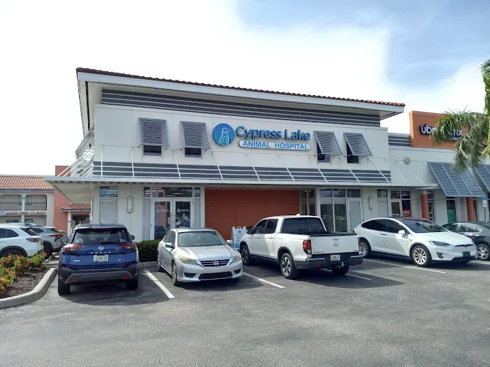 Cypress Lake Animal Hospital 4